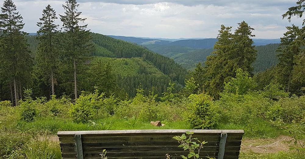 Gast - Gästehaus Astenblick auch für grosse Gruppen geeignet Villa Winterberg Exterior foto